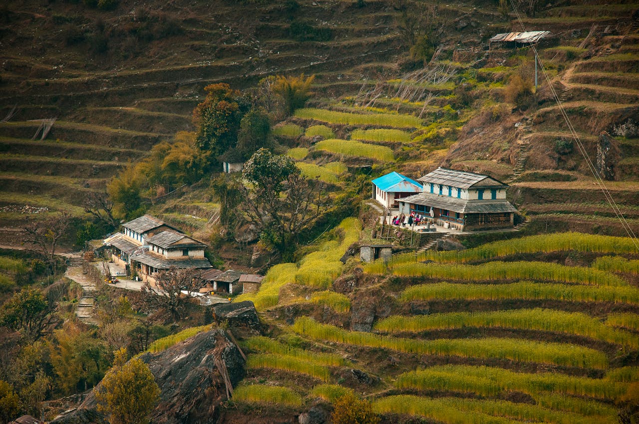 Stellar Homestay Măng Đen-02