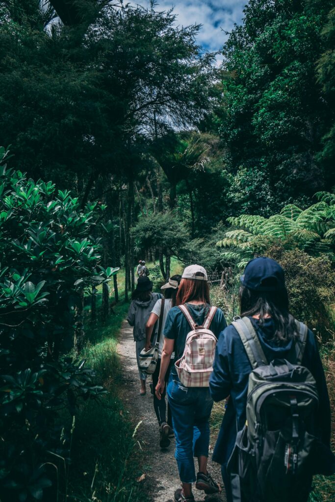 pexels-photo-917510-917510 Women hiking along a scenic forest trail, enjoying nature and exploration.